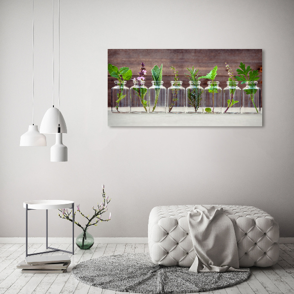 Quadro su tela Piante in vaso