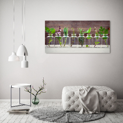 Quadro su tela Piante in vaso