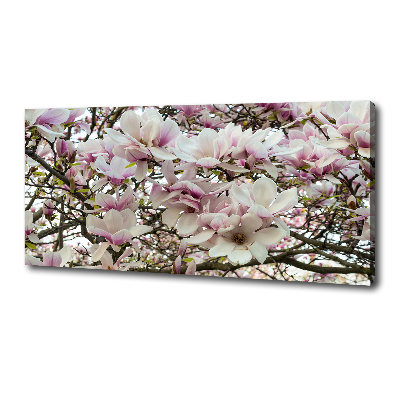 Foto quadro su tela Fiori di magnolia