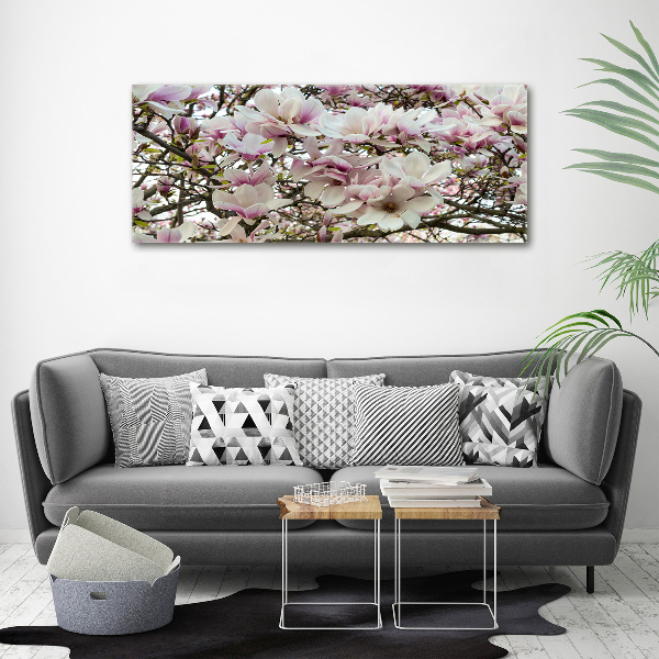 Foto quadro su tela Fiori di magnolia