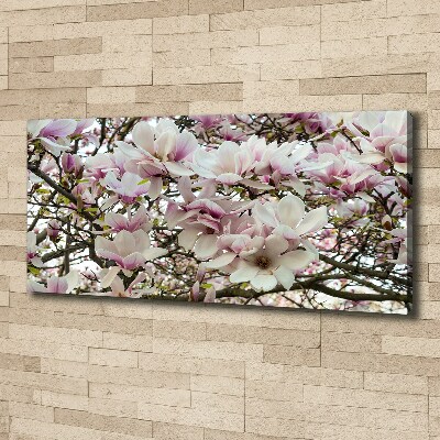 Foto quadro su tela Fiori di magnolia