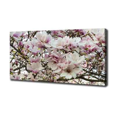 Foto quadro su tela Fiori di magnolia