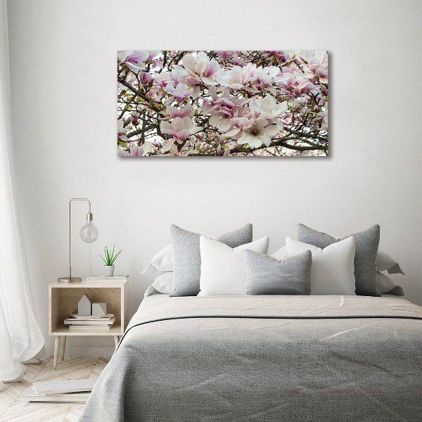 Foto quadro su tela Fiori di magnolia