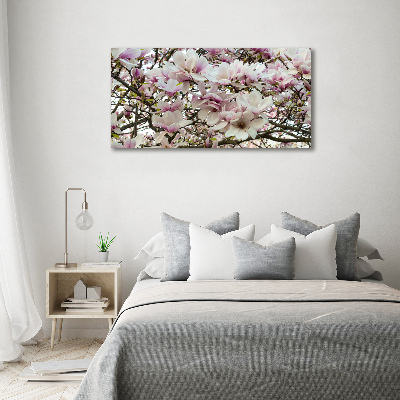 Foto quadro su tela Fiori di magnolia