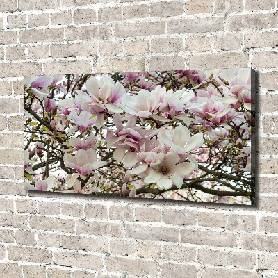 Foto quadro su tela Fiori di magnolia