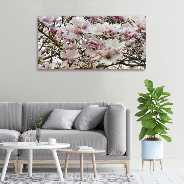 Foto quadro su tela Fiori di magnolia