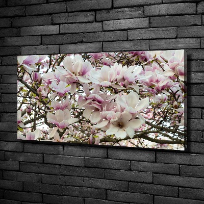 Foto quadro su tela Fiori di magnolia