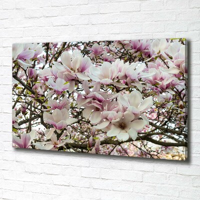 Foto quadro su tela Fiori di magnolia