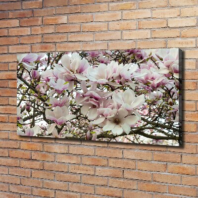 Foto quadro su tela Fiori di magnolia