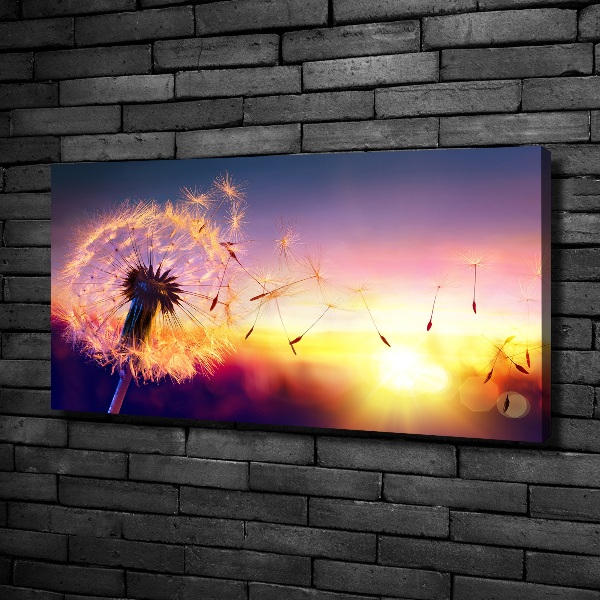 Quadro stampa su tela Dente di leone