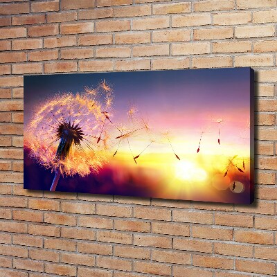 Quadro stampa su tela Dente di leone