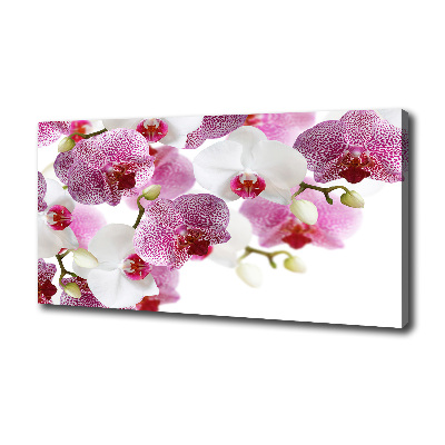 Quadro su tela Orchidea