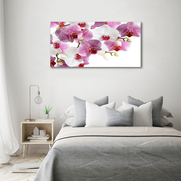 Quadro su tela Orchidea