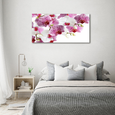 Quadro su tela Orchidea