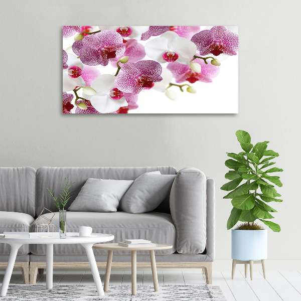 Quadro su tela Orchidea