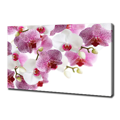 Quadro su tela Orchidea