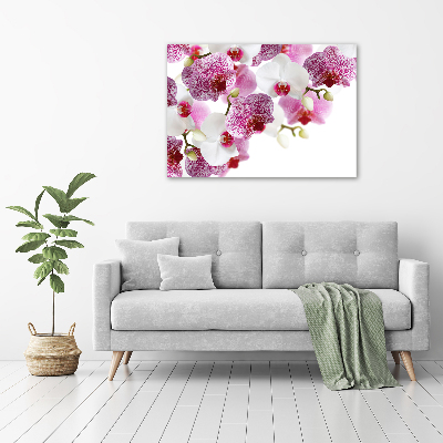 Quadro su tela Orchidea