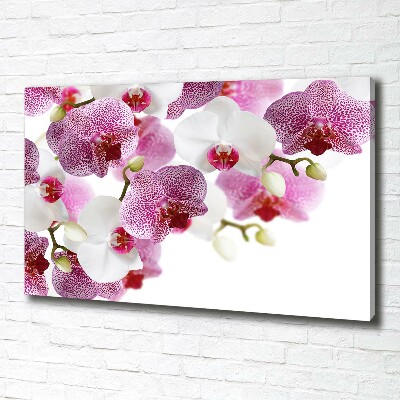 Quadro su tela Orchidea