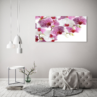 Quadro su tela Orchidea