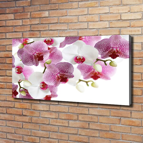 Quadro su tela Orchidea