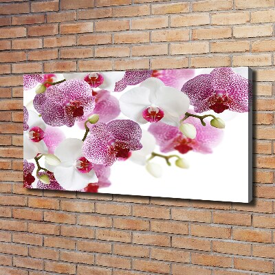 Quadro su tela Orchidea