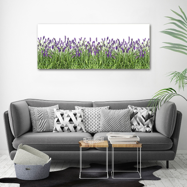 Quadro stampa su tela Fiori di lavanda