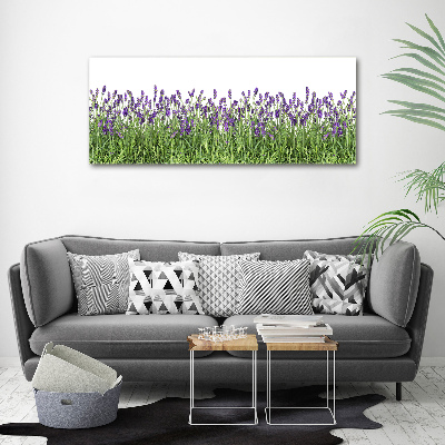 Quadro stampa su tela Fiori di lavanda