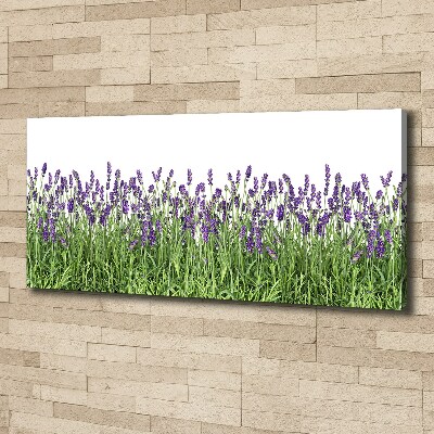 Quadro stampa su tela Fiori di lavanda