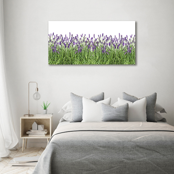 Quadro stampa su tela Fiori di lavanda