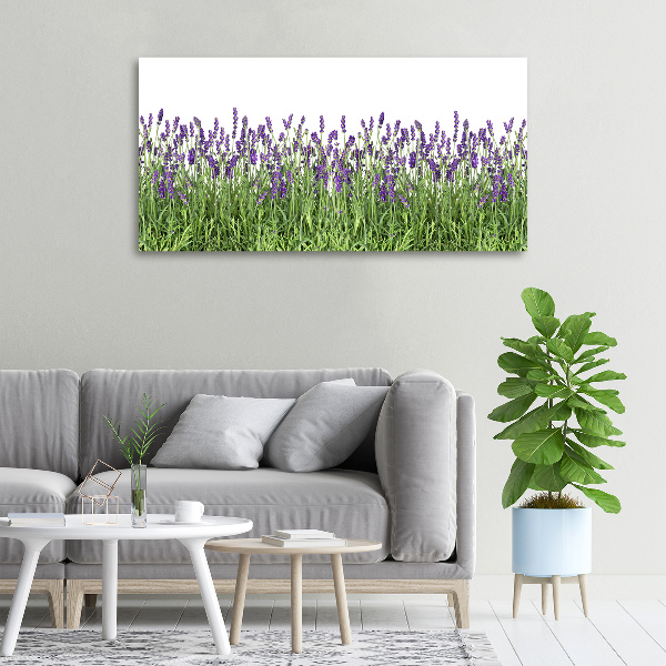 Quadro stampa su tela Fiori di lavanda