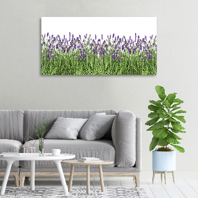 Quadro stampa su tela Fiori di lavanda