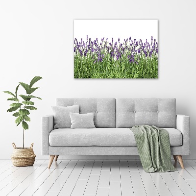 Quadro stampa su tela Fiori di lavanda