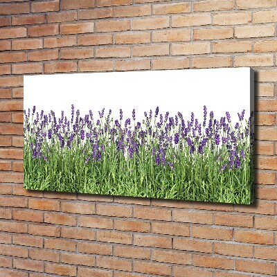 Quadro stampa su tela Fiori di lavanda
