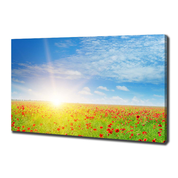 Foto quadro su tela Campo di papaveri