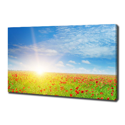 Foto quadro su tela Campo di papaveri