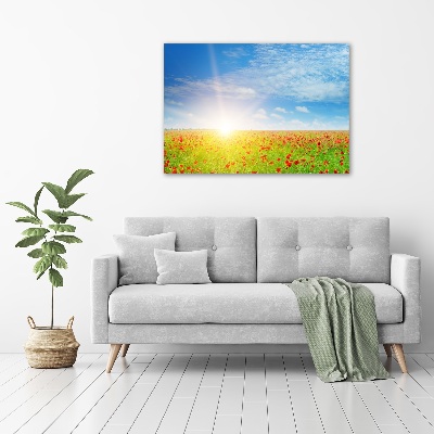 Foto quadro su tela Campo di papaveri