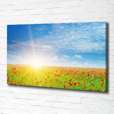 Foto quadro su tela Campo di papaveri