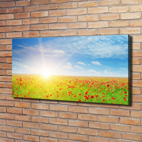 Foto quadro su tela Campo di papaveri