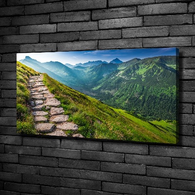 Quadro su tela Sentiero nei Monti Tatra