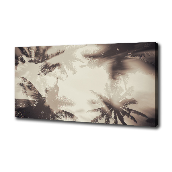 Foto quadro su tela Palme