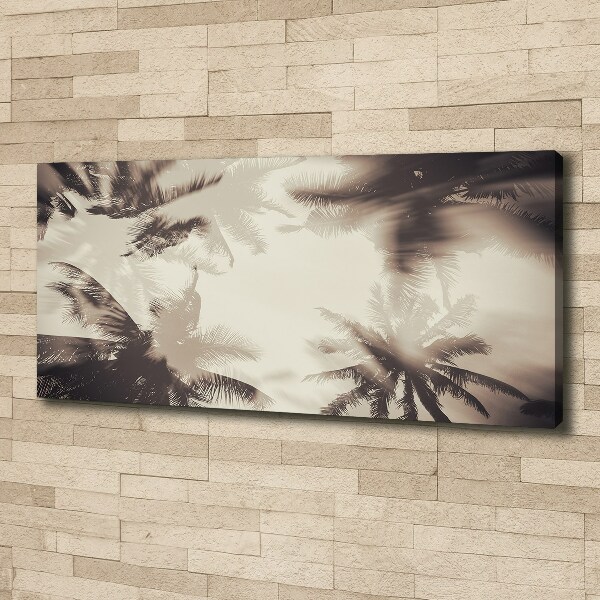 Foto quadro su tela Palme