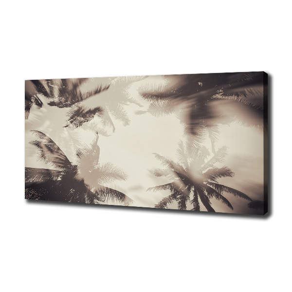 Foto quadro su tela Palme