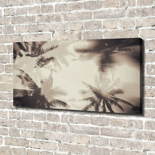 Foto quadro su tela Palme