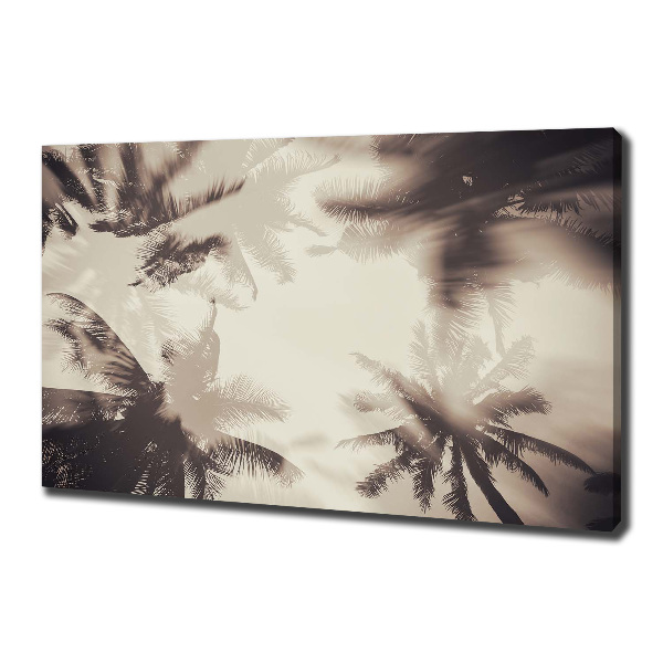 Foto quadro su tela Palme
