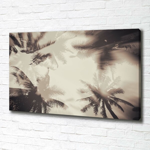 Foto quadro su tela Palme