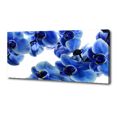 Quadro stampa su tela Orchidea blu