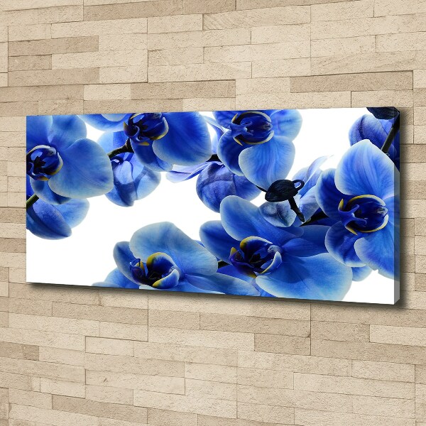 Quadro stampa su tela Orchidea blu