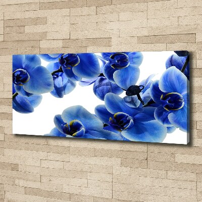 Quadro stampa su tela Orchidea blu