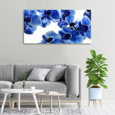Quadro stampa su tela Orchidea blu