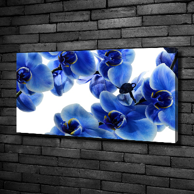 Quadro stampa su tela Orchidea blu